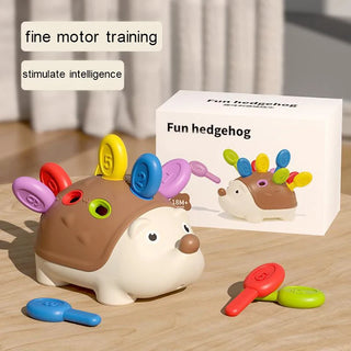  Hedgehog Montessori Sensory Toy cashymart