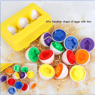  Montessori Sensory Eggs cashymart