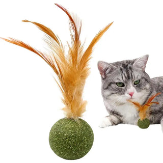  Interactive Catnip Feather Ball cashymart