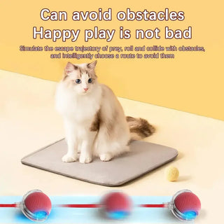  Dynamic Motion Cat Ball Toy cashymart