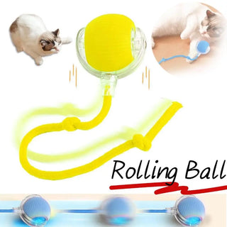  Interactive Smart Rolling Cat Ball Toy with Rechargeable Faux Tail cashymart