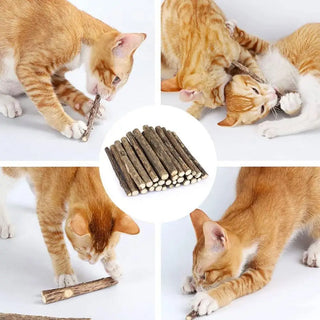  Natural Silvervine Cat Chew Sticks for Healthy Teeth & Fun cashymart