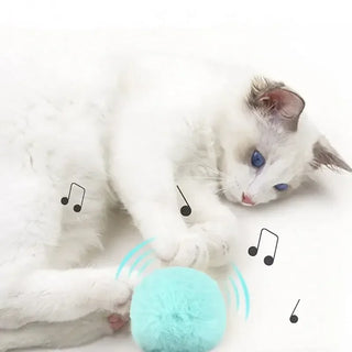  Plush Interactive Cat Toy Ball with Sounds for Playful Kittens cashymart