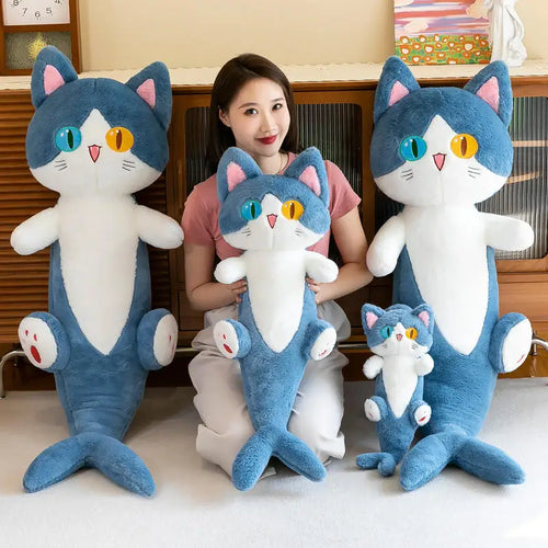 Shark Cat Plush cashymart