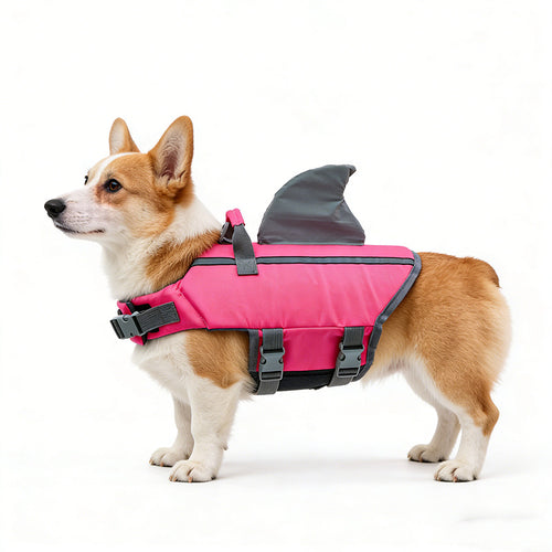  Shark Fin Dog Swimsuit cashymart