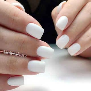  Shiny Wine Red Oval Short Fake Nails cashymart