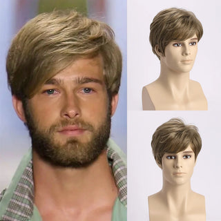  Short Natural Curly Hair Wig for Men cashymart