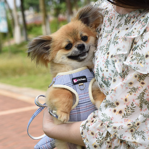  Sky Blue Checkered Chest Harness for Pets cashymart