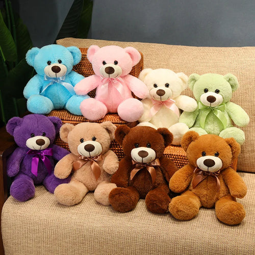  Small Teddy Bear cashymart