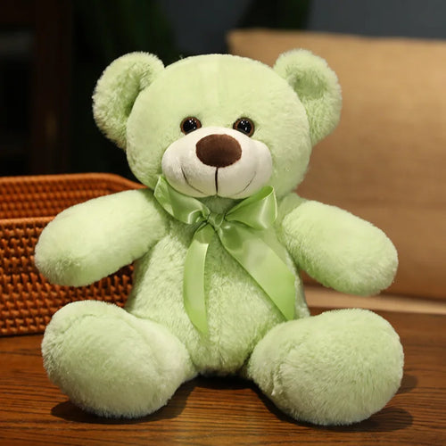  Small Teddy Bear cashymart