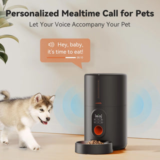  Smart Automatic Pet Feeder cashymart