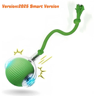  Smart Cat Toy Rechargeable Interactive Electric Car cashymart