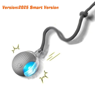  Smart Cat Toy Rechargeable Interactive Electric Car cashymart