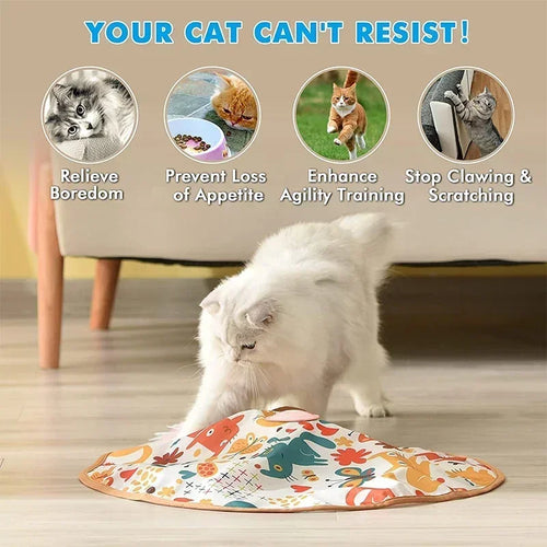  Smart Cat Toys cashymart