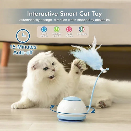  Smart Cat Toys cashymart