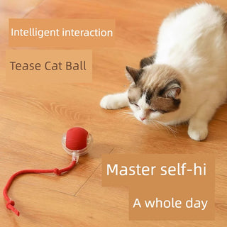  Smart Interactive Cat Teasing Ball cashymart