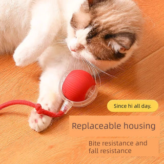  Smart Interactive Cat Teasing Ball cashymart