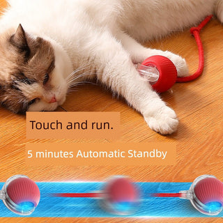  Smart Interactive Cat Teasing Ball cashymart