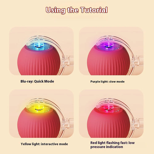  Smart Rechargeable Cat & Dog Interactive Rolling Toy cashymart