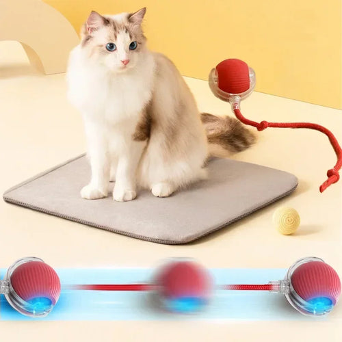  Smart Rolling Cat Ball cashymart