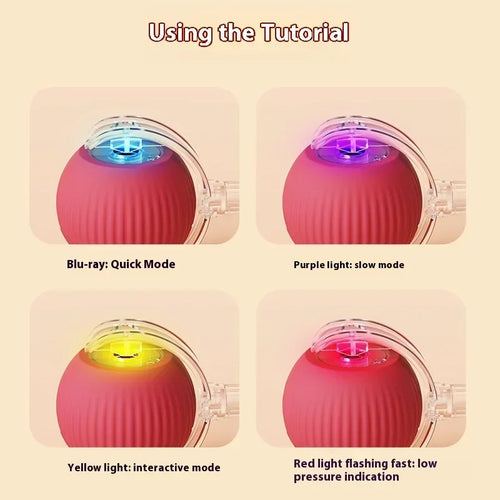  Smart Rolling Cat Ball cashymart