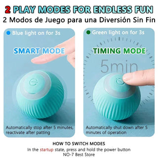  Smart Rolling Cat & Dog Interactive Ball Toy cashymart