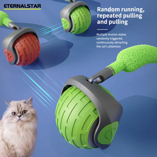 Smart USB Rechargeable Rolling Ball Toy cashymart