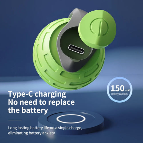  Smart USB Rechargeable Rolling Ball Toy cashymart