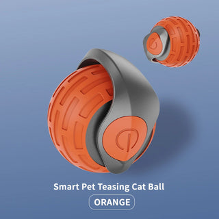  Smart USB Rechargeable Rolling Ball Toy cashymart