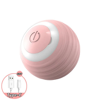  Smart USB Rechargeable Rolling Ball Toy cashymart