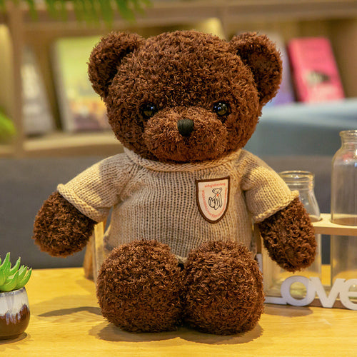  Soft Teddy Bears cashymart