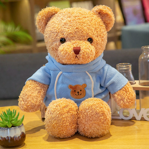  Soft Teddy Bears cashymart