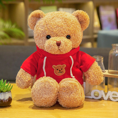  Soft Teddy Bears cashymart