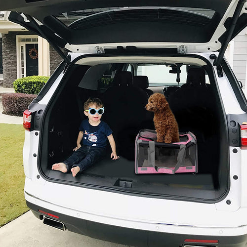  Spacious Soft-Sided Pet Carrier cashymart