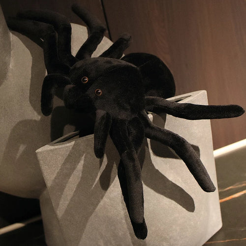 Spider Plush cashymart