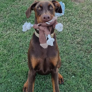  Squeaky Squirrel Dog Toy for Aggressive Chewers cashymart