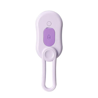  Steam Grooming Brush for Pets cashymart