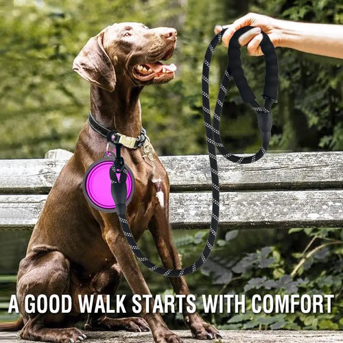  Strong Reflective Dog Leash for All Sizes cashymart
