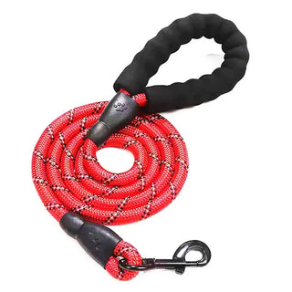  Strong Reflective Dog Leash for All Sizes cashymart