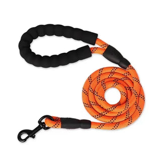  Strong Reflective Dog Leash for All Sizes cashymart