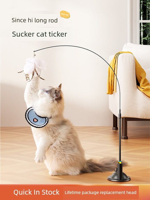  Suction Cup Cat Toy: Long Brush Holder cashymart