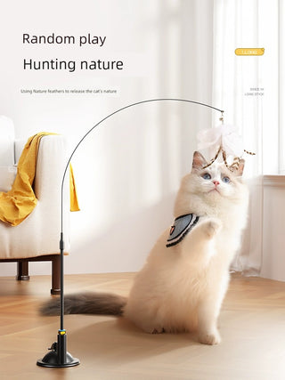  Suction Cup Cat Toy: Long Brush Holder cashymart