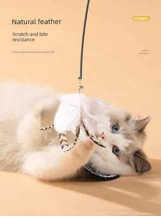  Suction Cup Cat Toy: Long Brush Holder cashymart