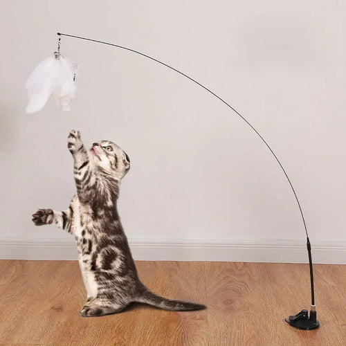  Suction Cup Interactive Feather Cat Teaser Wand cashymart