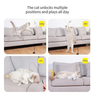  Suction Cup Interactive Feather Cat Teaser Wand cashymart