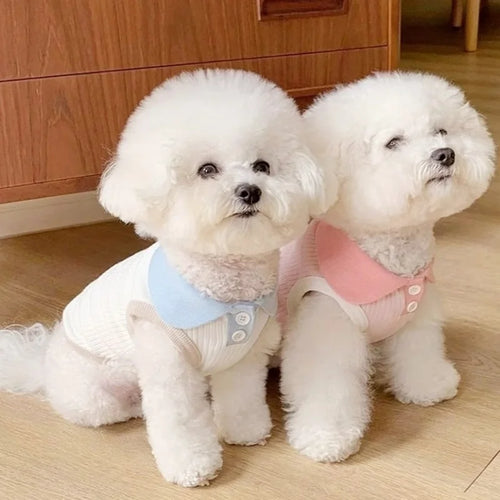  Summer Dog Polo Shirt for Small Dogs cashymart