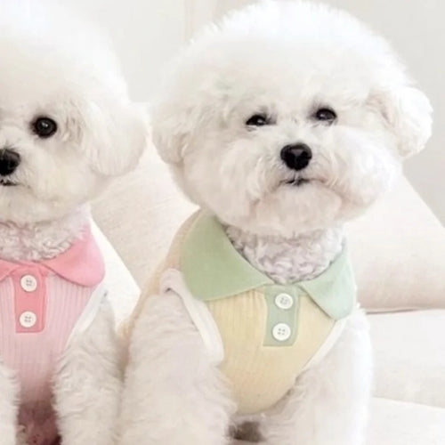  Summer Dog Polo Shirt for Small Dogs cashymart