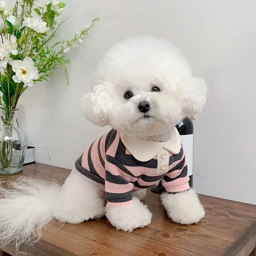  Summer Dog Polo Shirt for Small Dogs cashymart