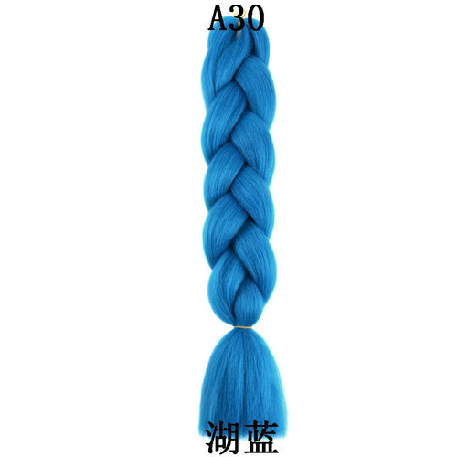  Synthetic 24 Inch 100g Braiding Hair Extensions cashymart