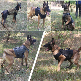  Tactical Military Dog Harness and Leash Set cashymart